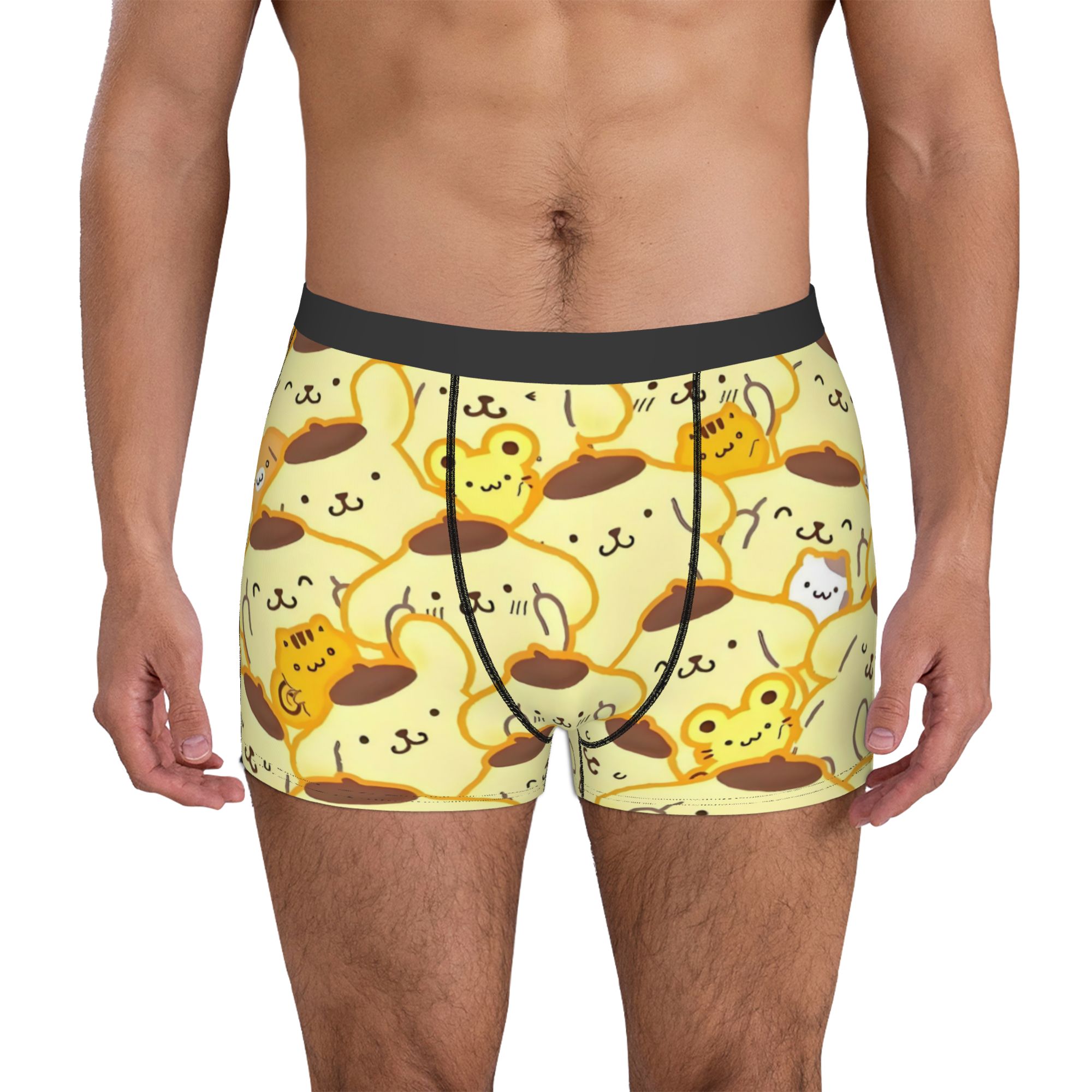 Boxer Shorts Modal - Intimo da uomo Cartoon Pompompurin, boxer