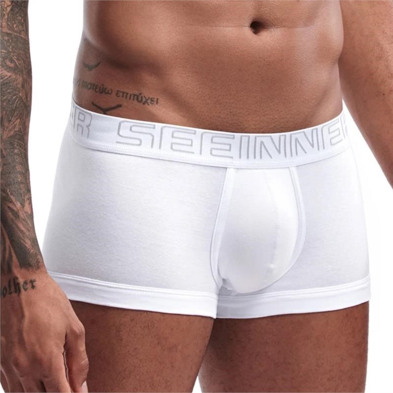 Seeinner Boxer da uomo in coto - Boxer Brief Pack Cotton recensione e prezzo