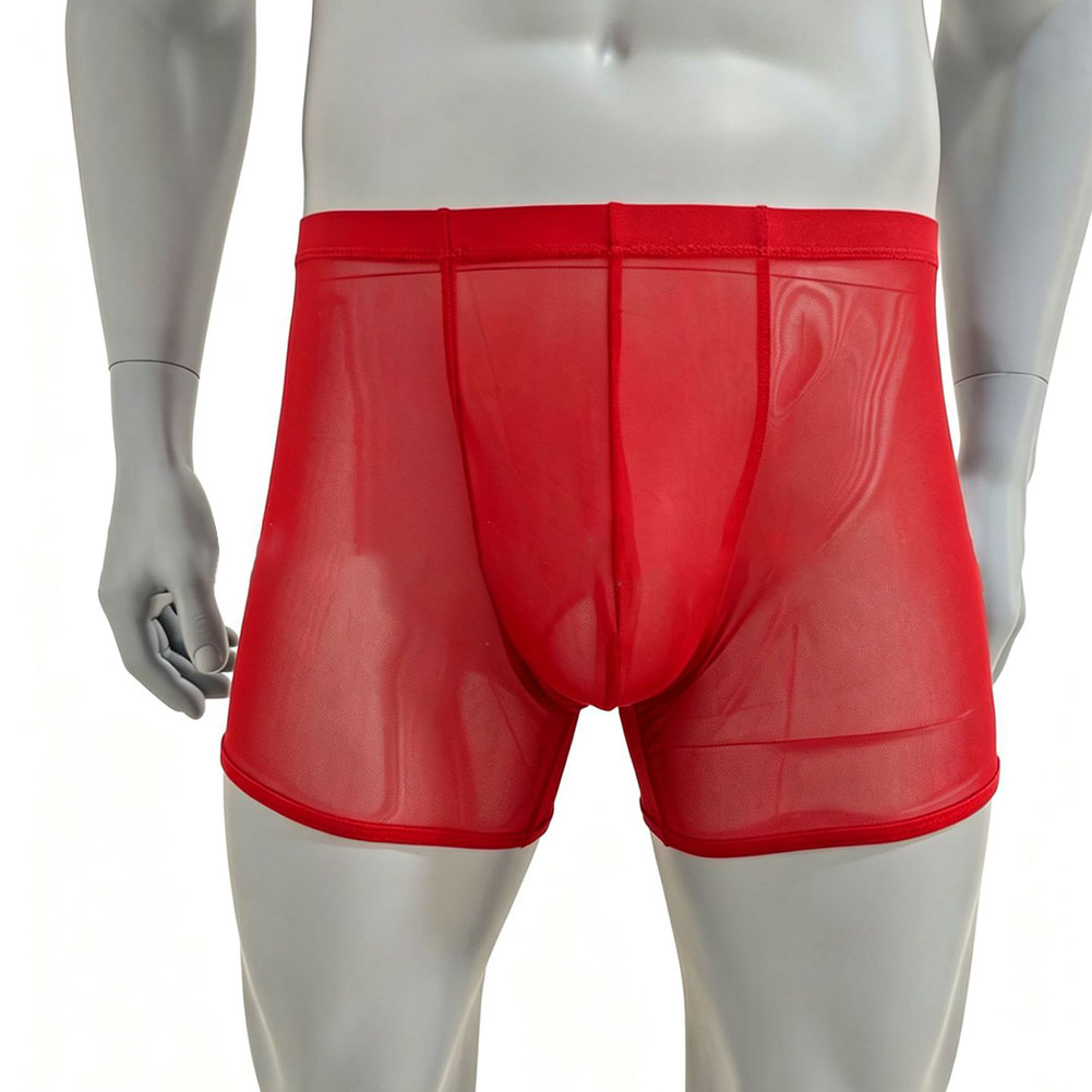 Boxer da Uomo in Rete Traspare - Long Leg Trunk Men recensione e prezzo