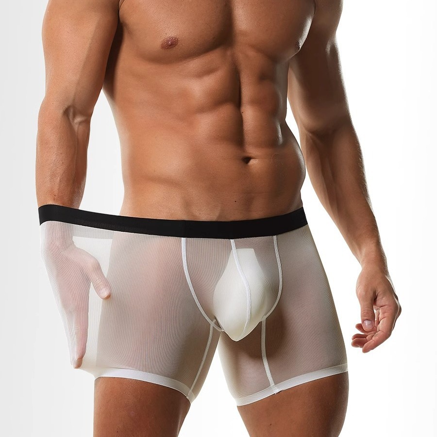 Pantaloncini boxer da uomo a g - Long Leg Trunk Men recensione e prezzo